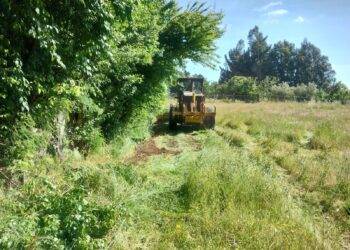 30 mil metros de cortafuegos: La estrategia del municipio de cholchol para prevenir incendios forestales