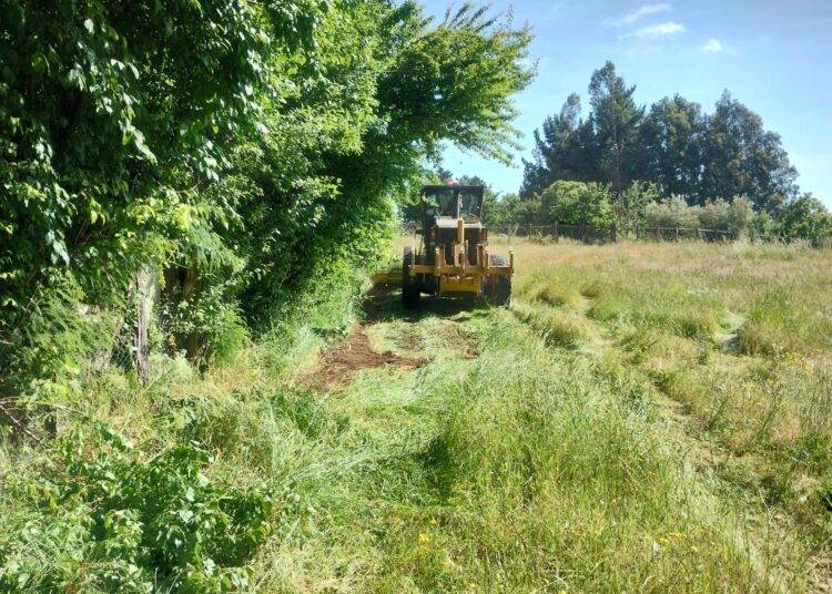 30 mil metros de cortafuegos: La estrategia del municipio de cholchol para prevenir incendios forestales