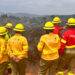 Revelan identidades de brigadistas muertos en incendio forestal de Los Sauces