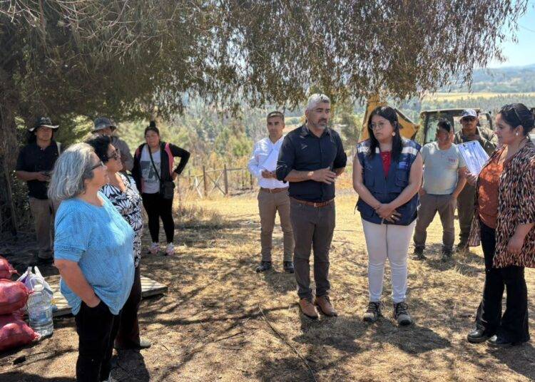 Inician entrega de ayuda a familias afectadas por los incendios forestales en Cholchol