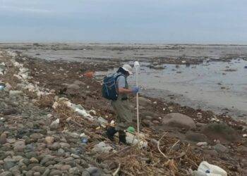 Seremi de Salud de Arica cierra Playa Chinchorro por peligrosos niveles de coliformes fecales