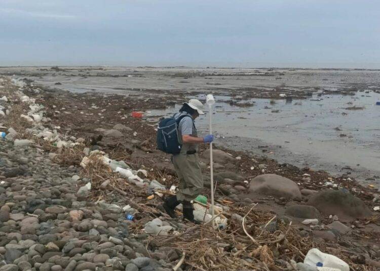 Seremi de Salud de Arica cierra Playa Chinchorro por peligrosos niveles de coliformes fecales