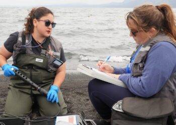Autoridades confirmaron balance positivo del estado del agua en el lago Villarrica