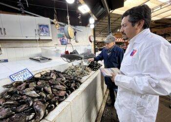 Semana santa: autoridad sanitaria intensifica fiscalizaciones a la venta de pescados y mariscos