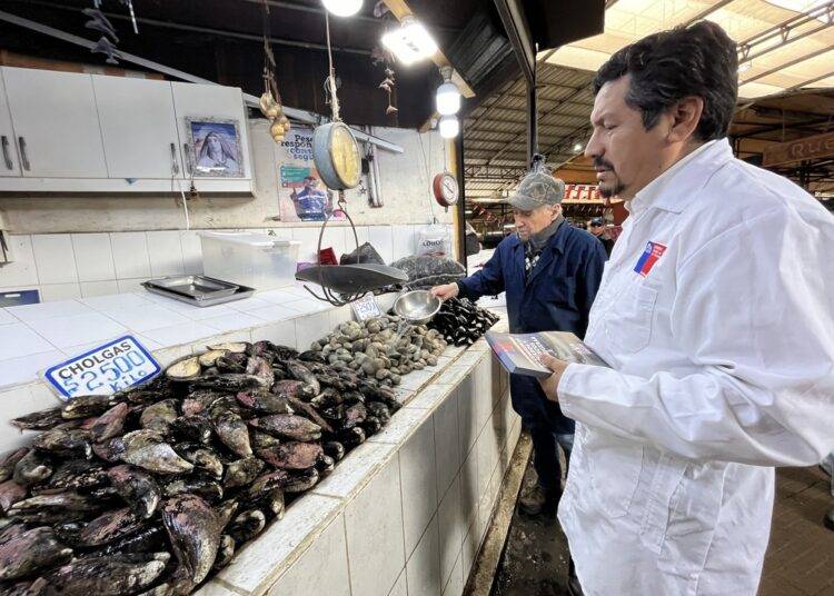 Semana santa: autoridad sanitaria intensifica fiscalizaciones a la venta de pescados y mariscos