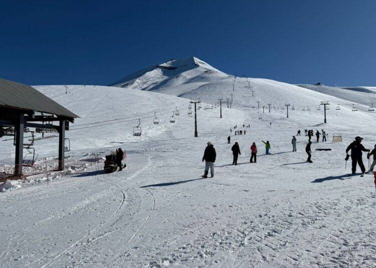 La Araucanía recibirá más de 300 mil viajes durante las vacaciones de de invierno