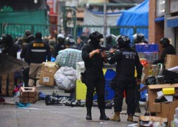 Recuperación de barrio Meiggs: Se retiraron 36 toneladas de productos desde la vía pública
