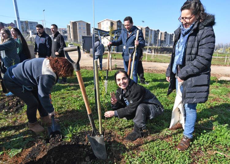 Convenio permitirá plantar 2.000 árboles de la especie Temu para recuperar humedales urbanos en Temuco