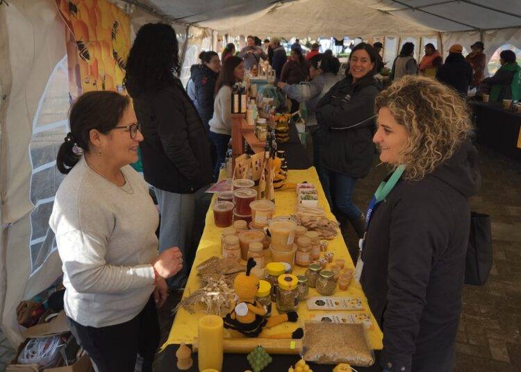 Primera expo miel de Pitrufquén mostró a comunidad parte de la apicultura local