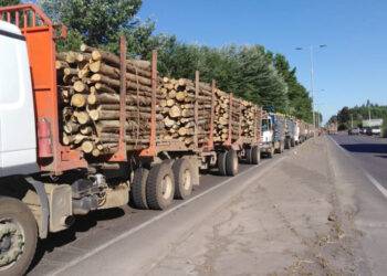 Presentan botón de emergencias para faenas forestales