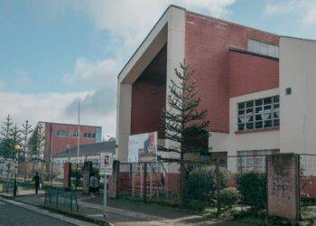 Colegio de Río Bueno suspendió clases por larvas, ratones, palomas y murciélagos