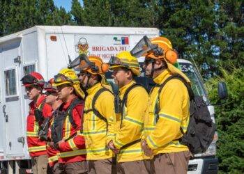 Conaf abrió convocatoria para brigadistas forestales temporada 2025–2026