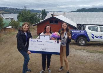 Frontel invita a emprendedoras a postular a décima versión del programa “Mujeres con Energía”