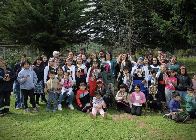 Iniciativa busca revitalizar el Mapudungun desde la primera infancia en Ercilla