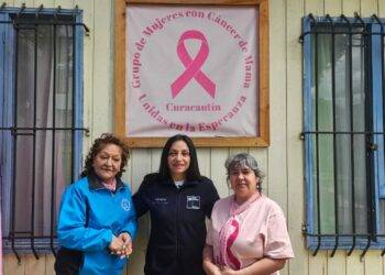 Bienes Nacionales se reúne con agrupación de mujeres con cáncer de mamas de Curacautín que ocupan un inmueble fiscal
