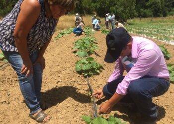 Aumentan los proyectos hídricos liderados por mujeres en La Araucanía