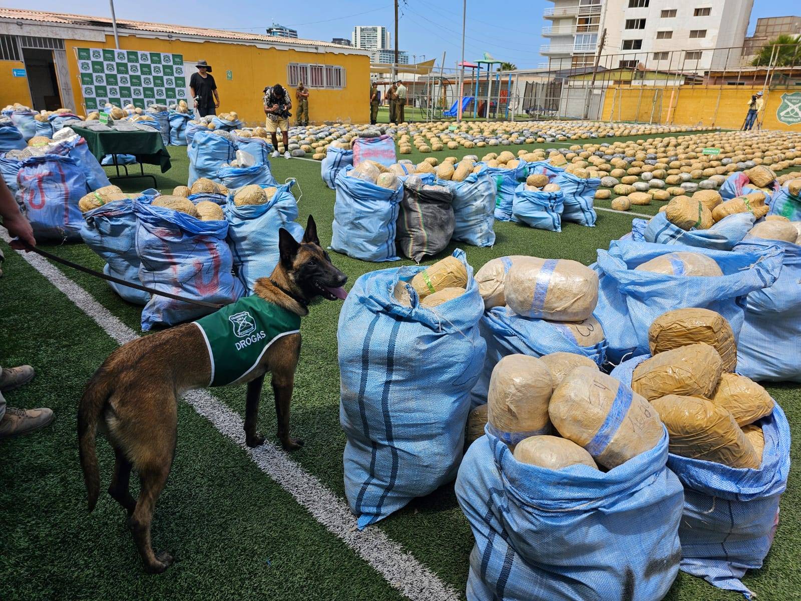 Regi贸n de Antofagasta concreta la incautaci贸n de cuatro toneladas de marihuana