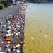 Plan descontaminaci贸n lago Villarrica: Estrategia entrar铆a en vigencia pr贸ximo a帽o
