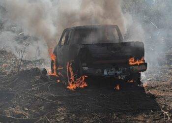 Dos detenidos por ataque incendiario a faena forestal en Contulmo