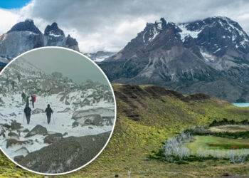 Turistas fallecidos en Torres del Paine: Fiscalía cita a declarar a director de Conaf y guardaparques