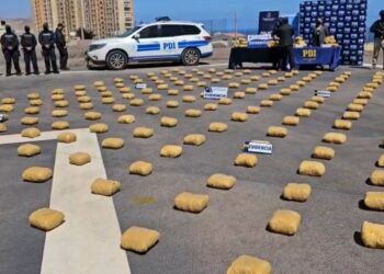 Antofagasta casi duplica incautación de drogas respecto a 2024 y bandas ecuatorianas toman protagonismo