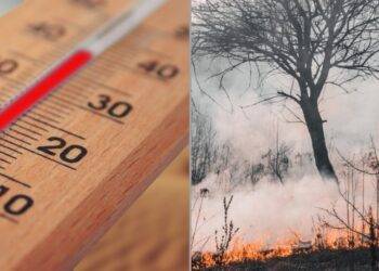 Autoridades llaman a evitar uso del fuego en espacios abiertos durante semana de altas temperaturas en La Araucan铆a