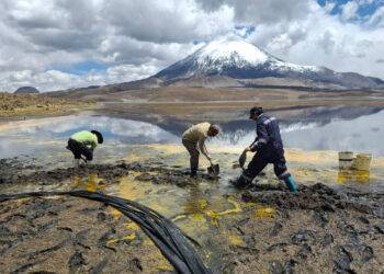 Derrame en Lago Chungará: daño ambiental podría durar 50 años