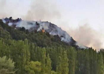 Incendios golpean a Chiloé en medio de ola de calor