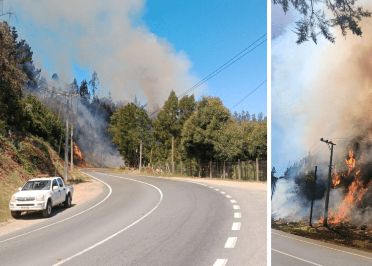 Alcalde de Florida denuncia falta de apoyo ante incendios forestales