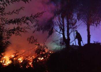 PDI detuvo a sospechoso de iniciar el megaincendio forestal de Concepción