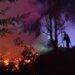 PDI detuvo a sospechoso de iniciar el megaincendio forestal de Concepci贸n