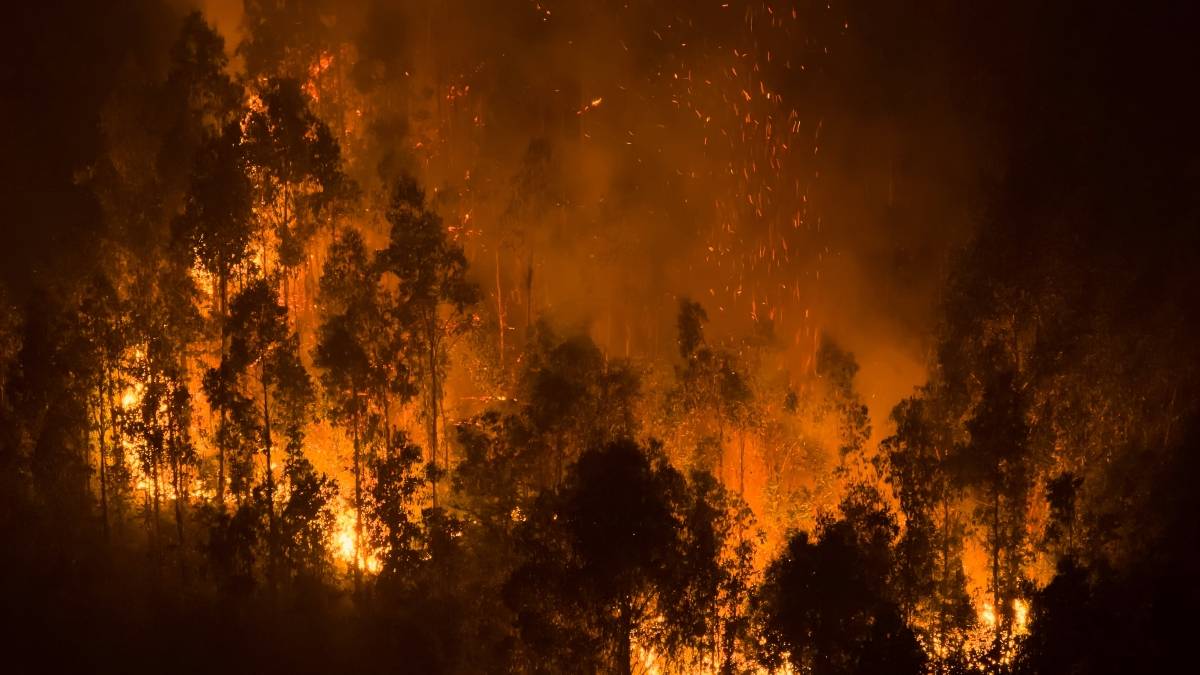 Greenpeace: urge aprobar nueva ley de incendios en Chile en plena emergencia