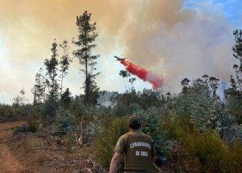 Imputado por fatal incendio en Punta de Parra queda con firma mensual: Fiscalía había pedido prisión preventiva