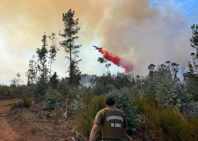 Imputado por fatal incendio en Punta de Parra queda con firma mensual: Fiscalía había pedido prisión preventiva