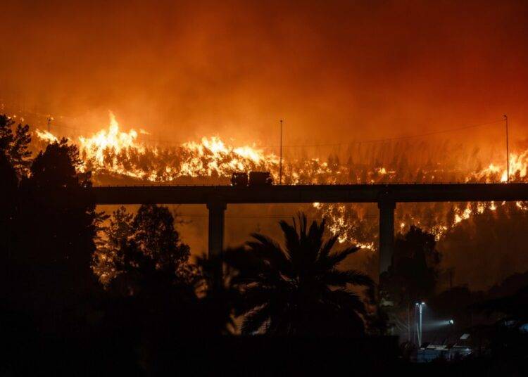 Incendios forestales en Biobío y Ñuble ya dejan 19 fallecidos confirmados