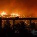 Incendios forestales en BiobÃo y Ñuble ya dejan 19 fallecidos confirmados