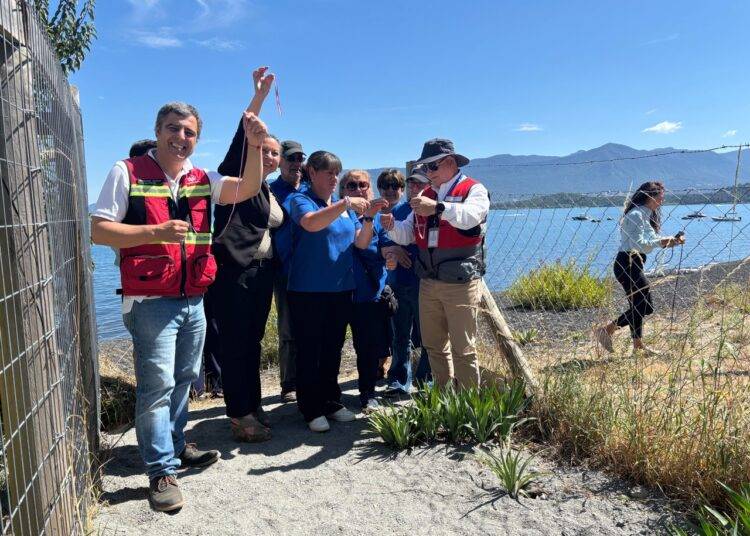 Vecinos y turistas ahora pueden acceder a tradicional Playa Candelaria de Pucón