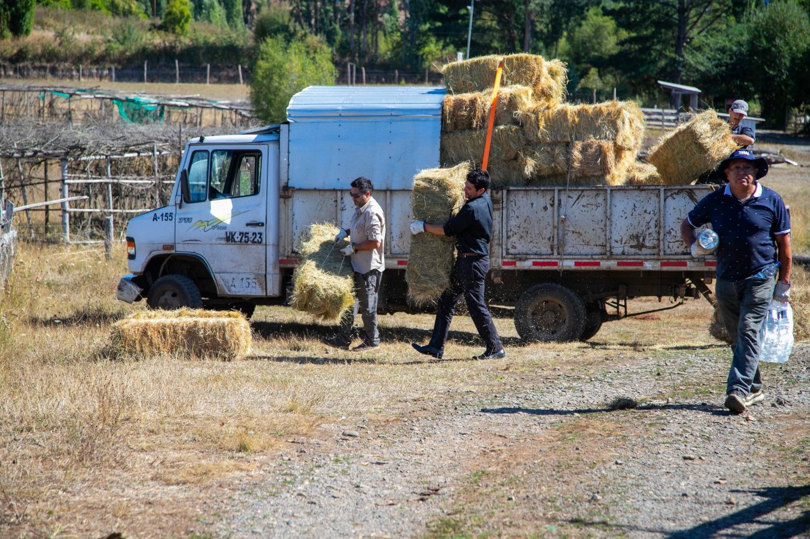 Municipio de Temuco y privados se unen para llevar alimento y útiles de primera necesidad a familias rurales tras incendios