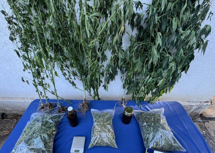 Purén: PDI saca de circulación 9 millones y medio de pesos en droga