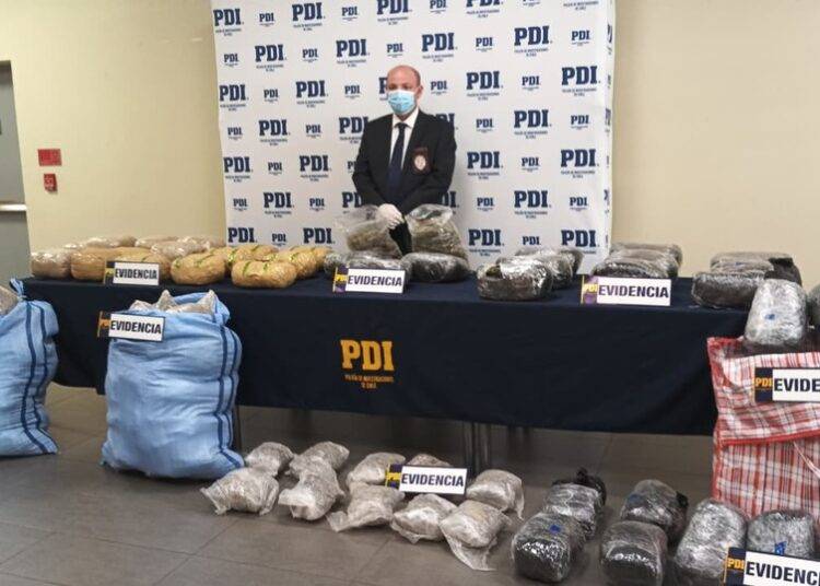 PDI incauta más de 270 mil dosis de droga que sería comercializada en La Araucanía