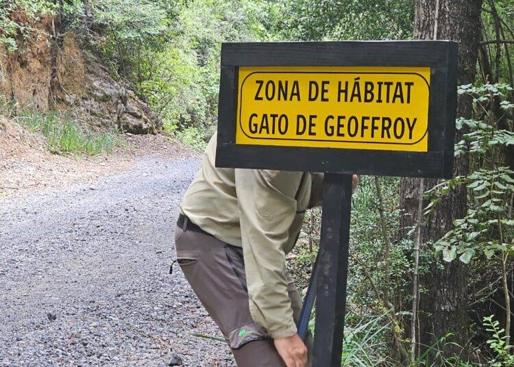 Guardaparques fortalecen protección de fauna y seguridad en Parque Huerquehue