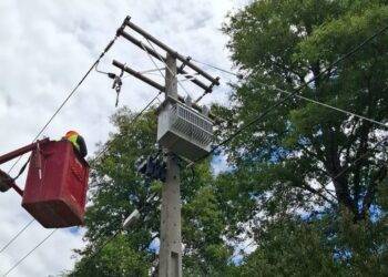 Más de 80 familias de Pucón regularizaron servicio eléctrico tras 20 años de espera