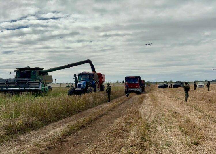 Carabineros COP finaliza Plan de Seguridad Agroalimentaria 2026 con más de 25 mil hectáreas cosechadas y 14 detenidos