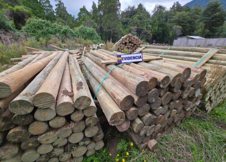 PDI recupera madera avaluada en $4 millones tras investigación por estafa en La Araucanía