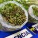Hualpin: PDi saca de circulaci贸n tres millones de pesos en cannabis sativa