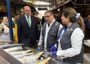 Autoridades intensifican fiscalizaciones a la venta de pescados y mariscos en previa a semana santa