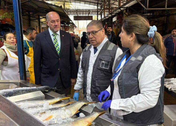 Autoridades intensifican fiscalizaciones a la venta de pescados y mariscos en previa a semana santa