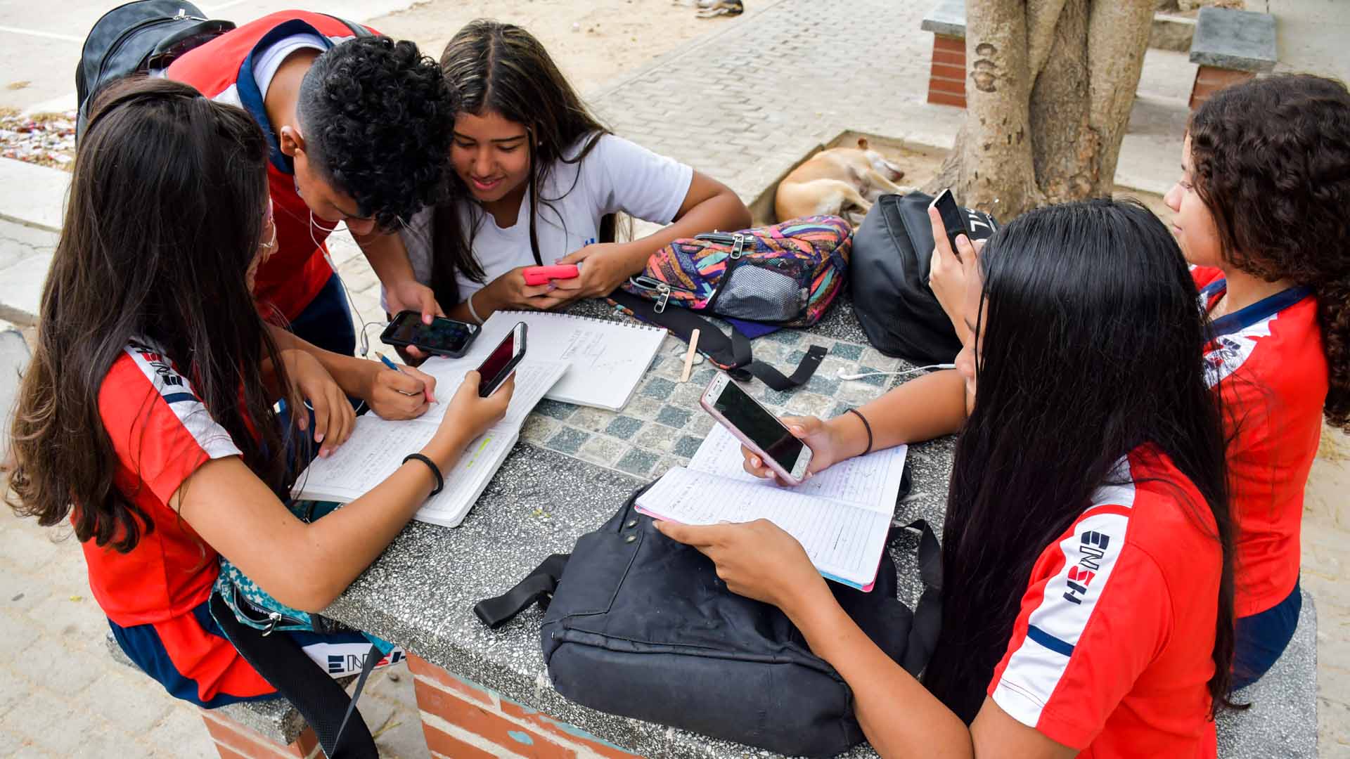 Entra en vigencia ley que prohíbe uso de celulares en colegios