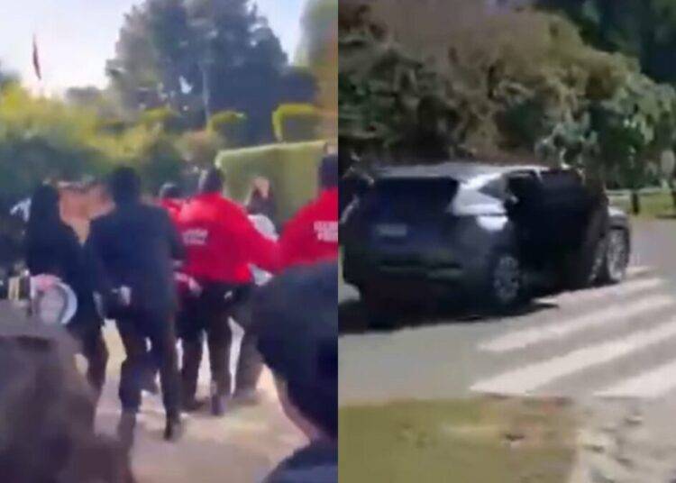 PDI detuvo a tres estudiantes de la UACh por ataque a ministra Lincolao