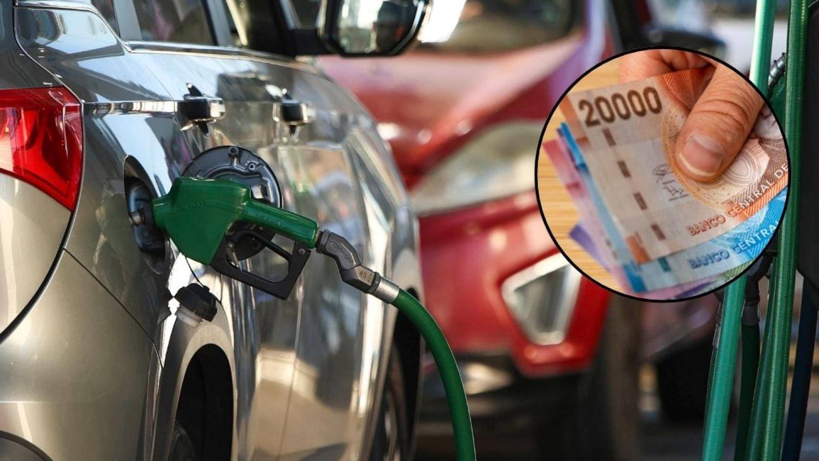 Comienza pago de bono de $100 mil a transportistas en La Araucanía